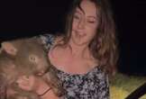 Wombat snatcher flees after kidnapping baby... & could be BANNED from Oz