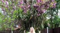 Mum urged to leave neighbour's 'overhanging' tree alone as it's 'so pretty'