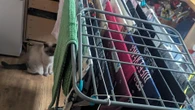 Woman shares ‘laundry code’ she uses to get a whole wash dry in 6 hours