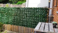 I gave my garden instant privacy with an easy B&Q buy that will last in winter