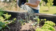 I’m a royal gardener, important task will help your plants adapt to the heat