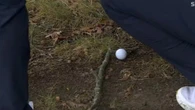 Ryder Cup controversy after Hatton's ball 'moves' and US fans demand punishment