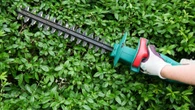 The reason you could a fine if your trim your hedge before September