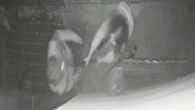 Moment woman smashes neighbour over the head with SPADE in long-running dispute