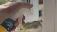 5p hack that keeps spiders away as people warn they are 'hench' & 'brave'