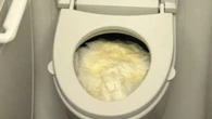 Passengers forced to wee in bottles after toilets break down on six-hour flight