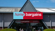 Home Bargains is selling a £3 buy that transforms your garden & adds privacy