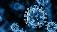 Urgent holiday warning over new 'more infectious' Covid variant as cases surge