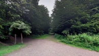 Boy, 10, mauled by two dogs in horror attack at park sparking urgent hunt