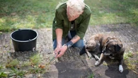 I had weeds cropping up all over my patio but 30p trick blitzed them for good