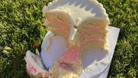 ‘Saddest cake on the internet’ goes viral for very unexpected reason
