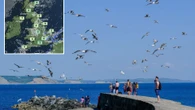 Met Office warns of 'chilly start' as temperatures drop after May Day scorcher