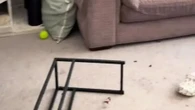 I’m trolled for my ‘dirty’ house, people say there’s ‘no excuse’ for that mess