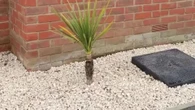 I transformed my front garden for just £45 - trolls say it looks 'like a grave'