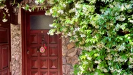 I’m a garden expert - five popular plants that could cause damage to your home