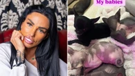 Katie Price shares rare pic of her 5 pets after being slammed by animal charity