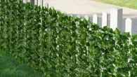 Shoppers are snapping up Shein’s £3.50 privacy screen to hide nosy neighbours