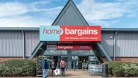 Home Bargains is selling £6 buy to help shield your garden from prying eyes