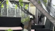 I transformed my garden on a budget but trolls say it's ‘council estate paradise’