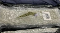 Cannabis seizures at UK airports soar to new highs with Thai gangs responsible