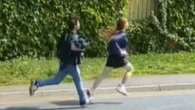 Two kittens dismembered as cops share CCTV of two teens in hunt for culprits