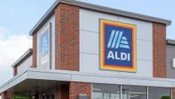 Shoppers race to Aldi to bag a summer gardening essential for a bargain price