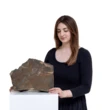 Chunk of planet Mars worth £2.9 MILLION after being found by explorer