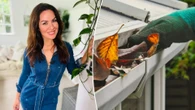 Save thousands by winterproofing your home & why to bin plastic containers now