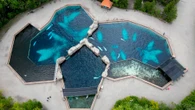 Inside ‘water park of horrors’ where 30 whales face being KILLED
