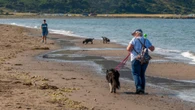 Warning over ‘toxic’ water at UK beauty spot after dog mysteriously dies