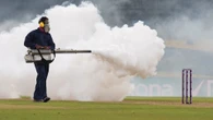 Sporting event interrupted by bug invasion as staff fumigate stadium