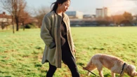 Nearly 7 in 10 dog owners say their pet is their top reason to leave home