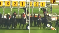 Jockey who 'jumped straight off horse' flees country as investigation launched