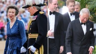 Is Princess Anne the secret weapon to heal rift Harry, Charles & Wills rift?