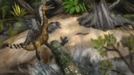 Lethal 15ft croc 'chomped' huge 'terror bird' in shock attack 12mil years ago