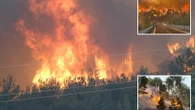 Huge wildfires rage across Turkey as 13 dead & 'disaster zones' declared