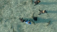 TV actress reveals moment stingray attacked her CROTCH on new shark show