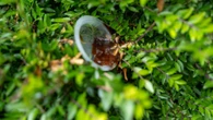 Our lives have been ruined by a sickening smell... but the council don't care