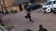 Moment dog owner chases down ‘puppy snatcher’ who stuffed chihuahua in backpack
