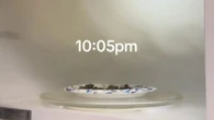 Microwaving a brownie burnt my house to a crisp with £295,000 in repairs