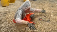 I quit my office job & now spend life scraping fat-bergs & poo from drains