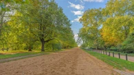 Asylum seeker who lived in migrant hotel jailed for raping woman in Hyde Park