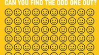 Everyone can see the wall of smiling faces - but can you spot the odd emoji out