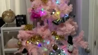 I put my Xmas tree up on September 3rd - people say I'm 'mad' but I love it