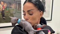 Katie Price under fire from fans after they spot 'dangerous' detail in new snap