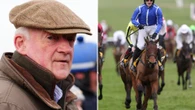 Willie Mullins' 100-1 Cheltenham winner would have been banned under new rules