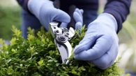 Exact time of day you should avoid touching your lawn at all costs