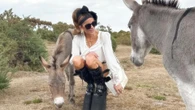 Kate Beckinsale risks fine as she breaks little known rule in bizarre outfit