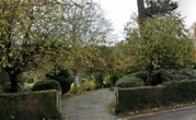 Woman 'threatened with knife and raped' in town park as man, 52, arrested
