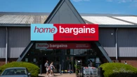 Shoppers go wild for Home Bargains buy that adds a touch of glam to the garden